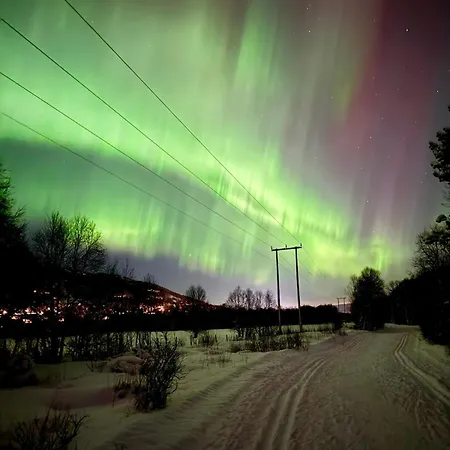 Charming With Lovely Views At * Гейло